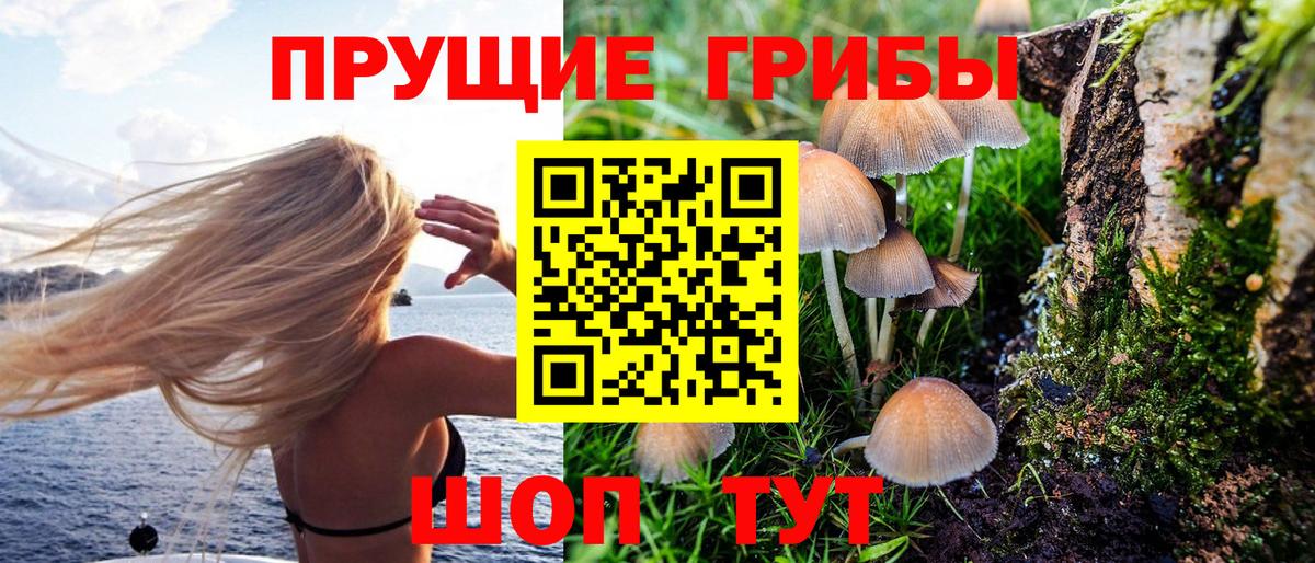 Псилоцибиновые грибы GOLDEN TEACHER Ступино