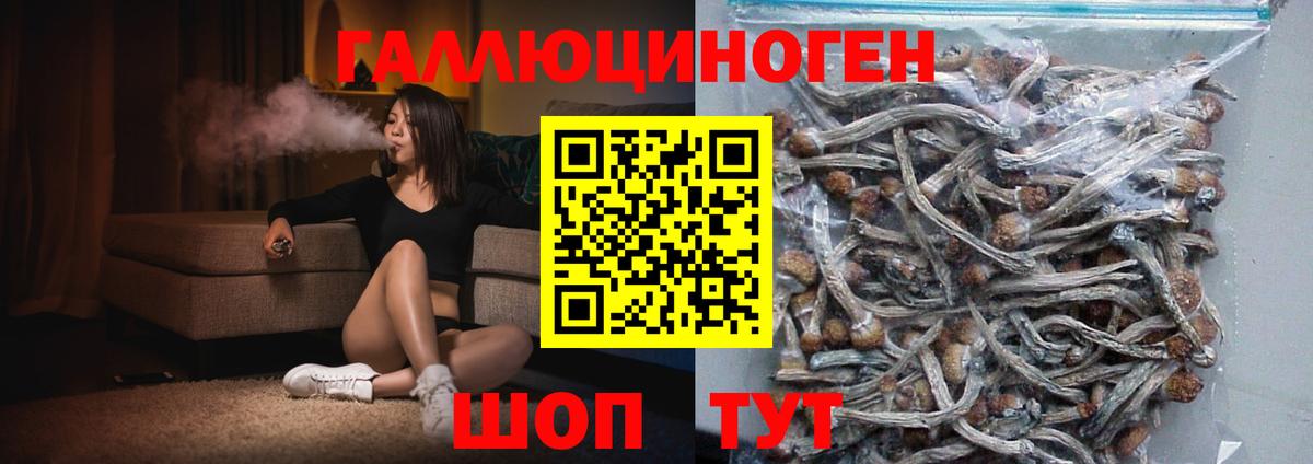 Галлюциногенные грибы Cubensis  Вход с VPN  Ступино  Псилоцибиновые грибы мухоморы 